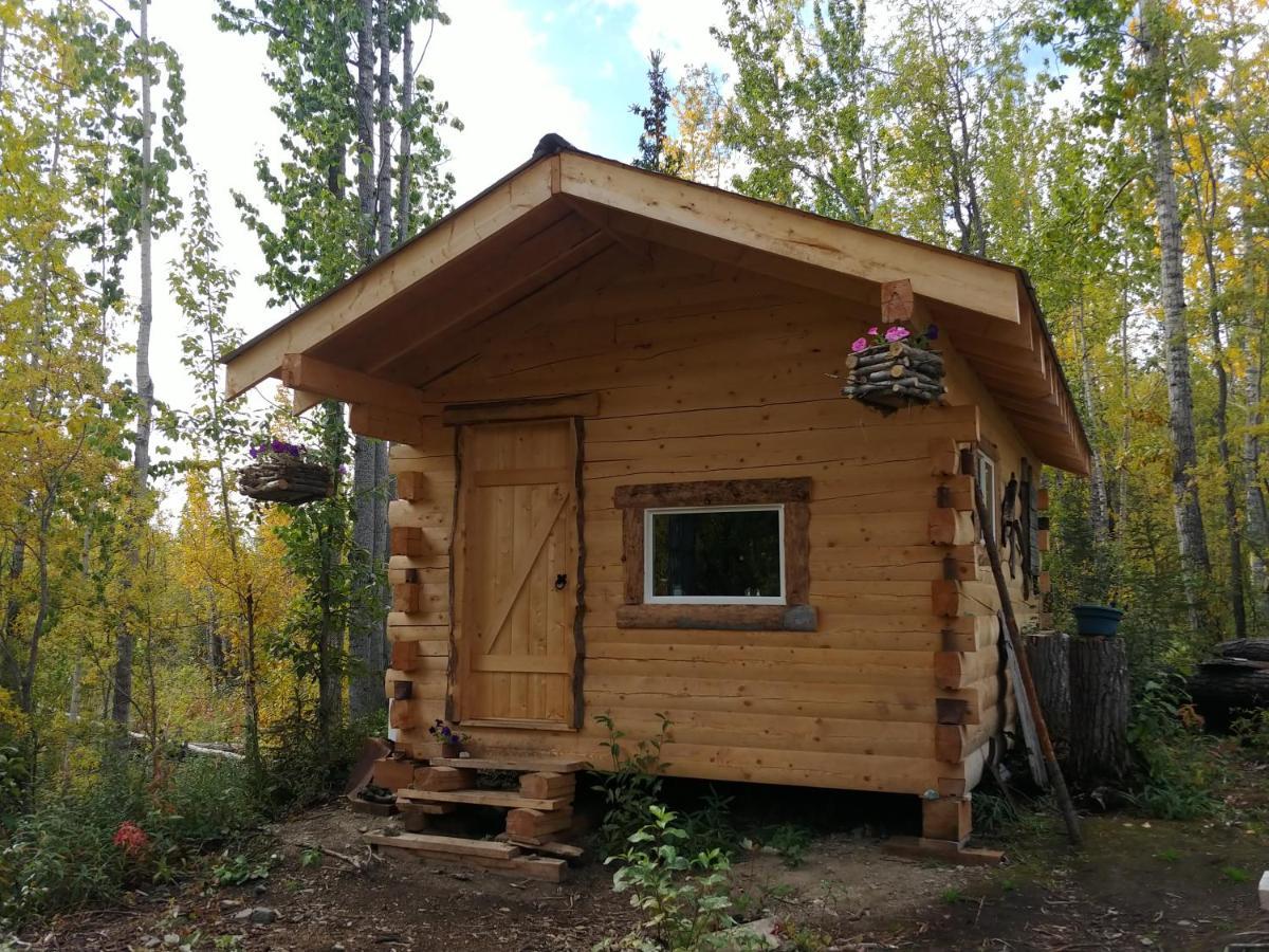 Blackburn Cabins - Mccarthy, Alaska Exteriér fotografie
