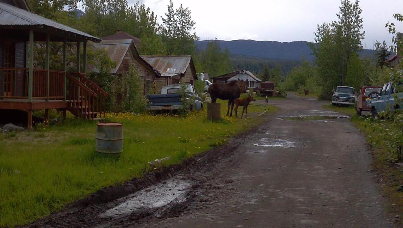 Blackburn Cabins - Mccarthy, Alaska Exteriér fotografie
