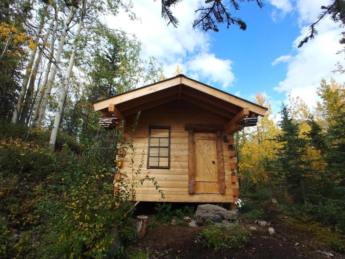 Blackburn Cabins - Mccarthy, Alaska Exteriér fotografie