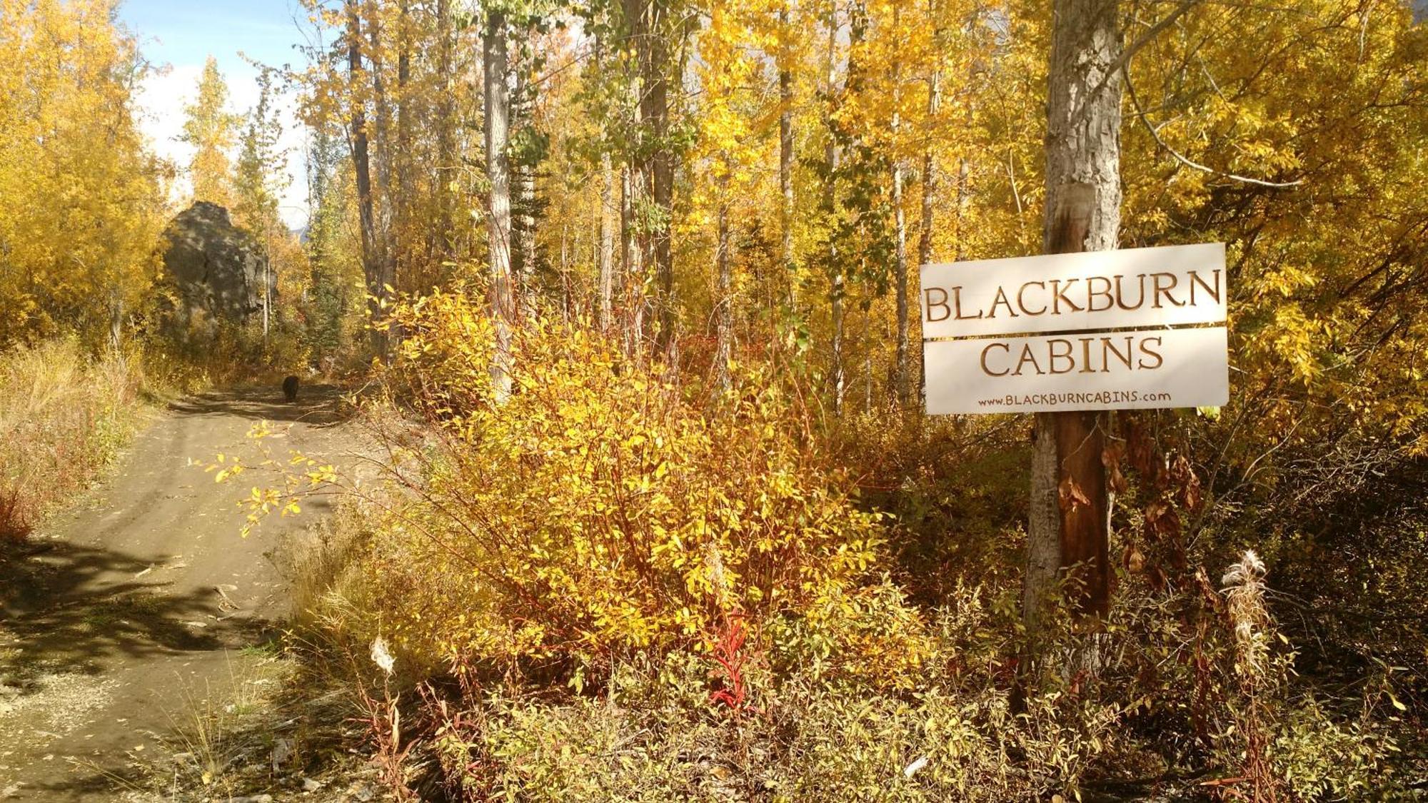 Blackburn Cabins - Mccarthy, Alaska Exteriér fotografie