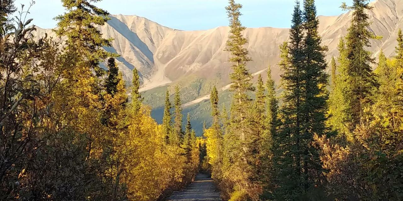 Blackburn Cabins - Mccarthy, Alaska Exteriér fotografie